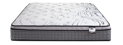 Dalhousie 11" Pocket Coil Euro Top
