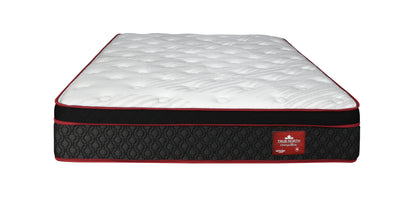 Chiropractic Frontenac 12.5" Pocket Coil Euro Top Plush Feel