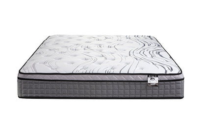 Dalhousie 11" Pocket Coil Euro Top
