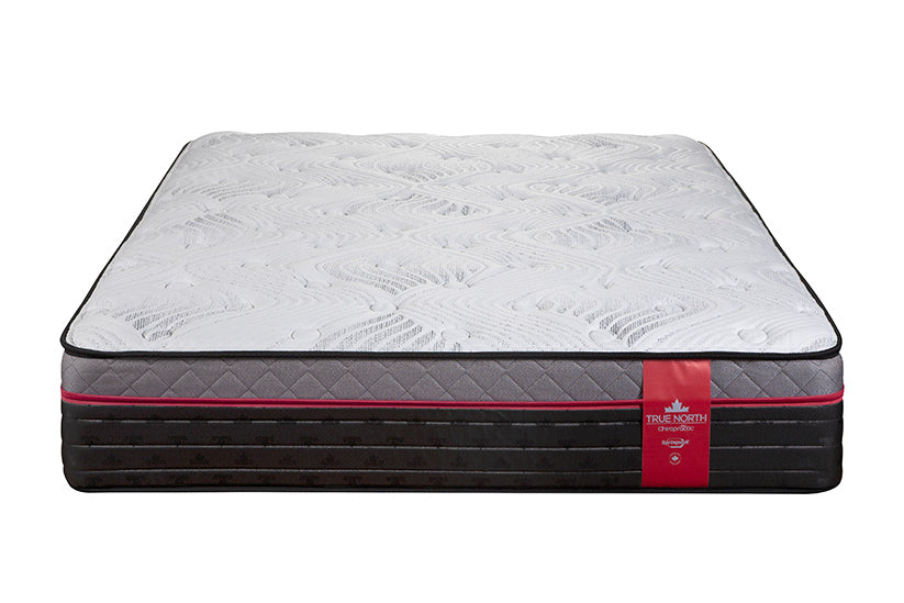 Chiropractic Frontenac 12.5" Pocket Coil Euro Top Plush Feel
